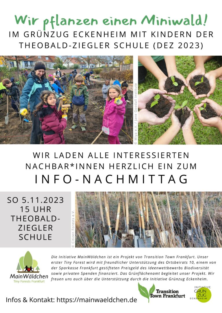Read more about the article Wir pflanzen einen Miniwald!
